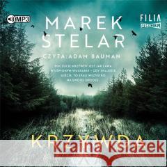 Krzywda audiobook Marek Stelar 9788382804423 Storybox - książka