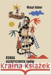 Księga egzotycznych snów Wasyl Gabor 9788378933373 Kolegium Europy Wschodniej - książka