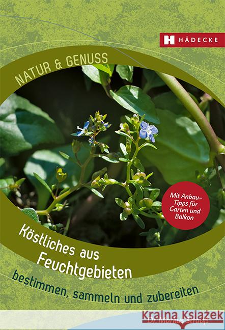 Köstliches aus Feuchtgebieten Strauß, Markus 9783775008211 Hädecke - książka