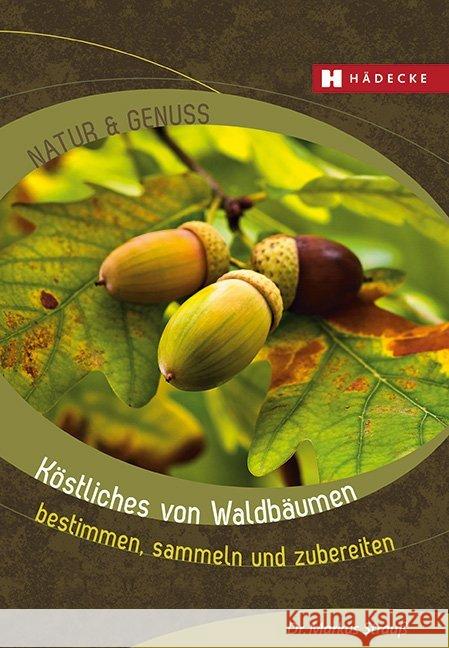 Köstliches von Waldbäumen : bestimmen, sammeln und zubereiten Strauß, Markus 9783775008020 Hädecke - książka