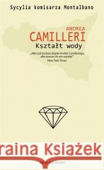 Kształt wody Andrea Camilleri 9788373927322 Noir sur Blanc - książka