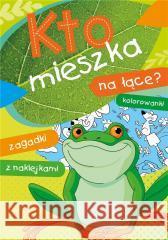 Kto mieszka na łące? Stadtmuller Ewa Drabik Wiesław 9788379157983 Skrzat - książka