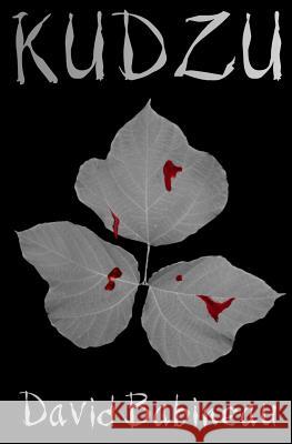Kudzu David Babineau 9781496014412 Createspace Independent Publishing Platform - książka