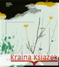 Kulminace léta Alexej Sevruk 9788025748091 Argo - książka