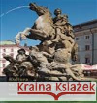 Kultura ve středoevropských dějinách kolektiv 9788074227752 NLN - Nakladatelství Lidové noviny - książka