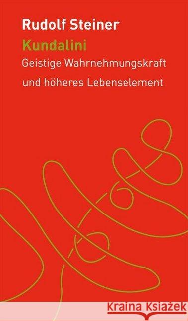 Kundalini : Geistige Wahrnehmungskraft und höheres Lebenselement Steiner, Rudolf 9783727452840 Rudolf Steiner Verlag - książka