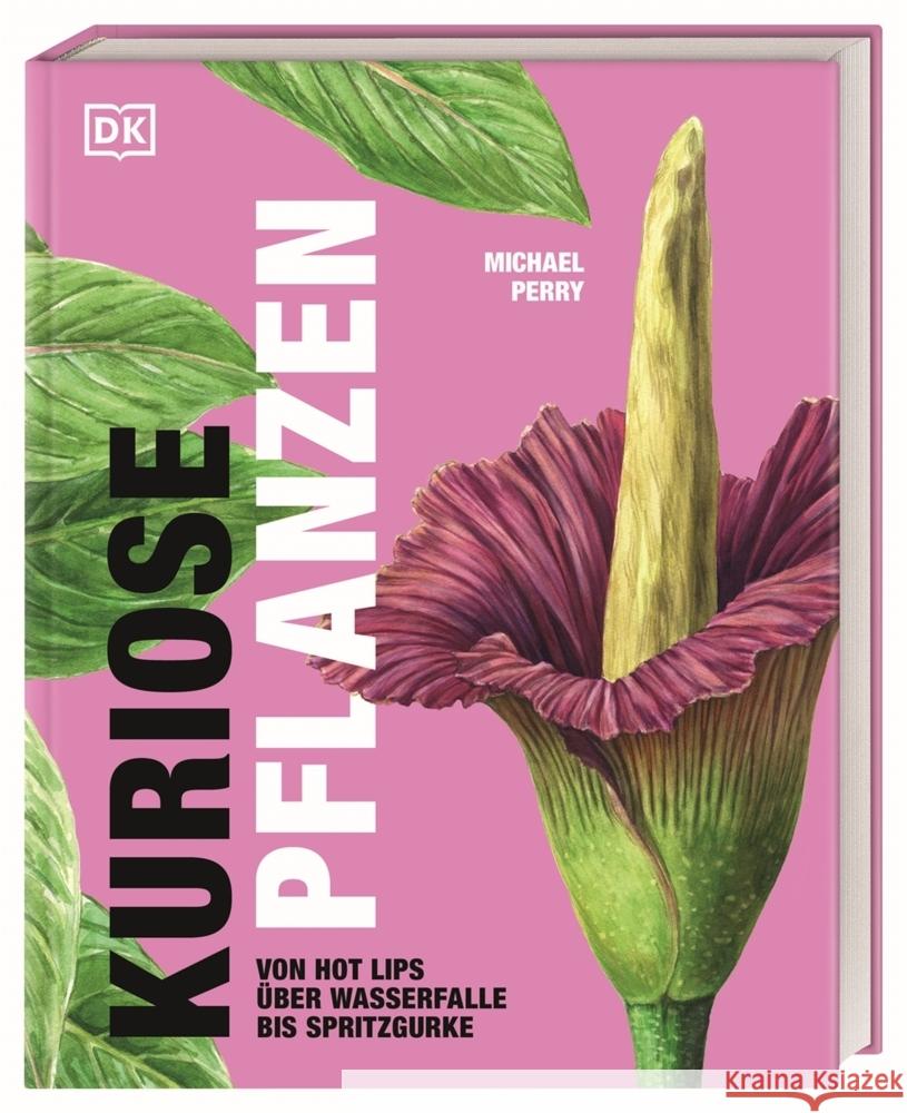 Kuriose Pflanzen Perry, Michael 9783831047406 Dorling Kindersley Verlag - książka