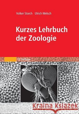 Kurzes Lehrbuch Der Zoologie Storch, Volker 9783827429674 Spektrum Akademischer Verlag - książka