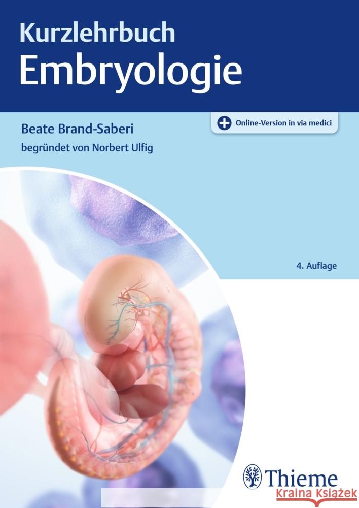 Kurzlehrbuch Embryologie  9783132451971 Thieme, Stuttgart - książka