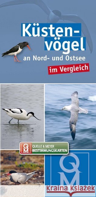 Küstenvögel an Nord- und Ostsee im Vergleich  9783494016092 Quelle & Meyer - książka