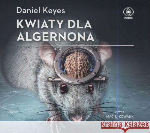 Kwiaty dla Algernona. Audiobook Keyes Daniel 9788380625945 Rebis - książka