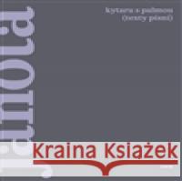 Kytaru s palmou (texty písní) Jaroslav Riedel 9788072155088 Torst - książka