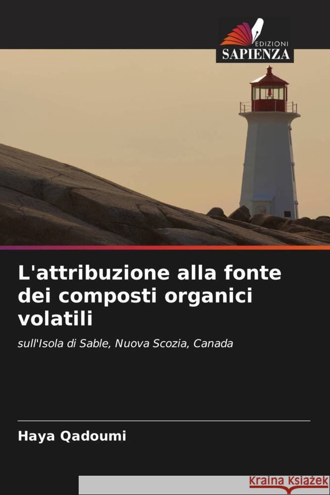 L'attribuzione alla fonte dei composti organici volatili Qadoumi, Haya 9786205186138 Edizioni Sapienza - książka
