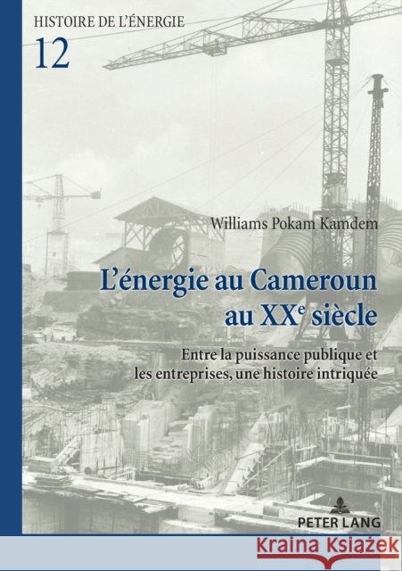 L'énergie au Cameroun au XXe siècle; Entre la puissance publique et les entreprises, une histoire intriquée Pokam Kamdem, Williams 9782807618763 P.I.E-Peter Lang S.A., Editions Scientifiques - książka