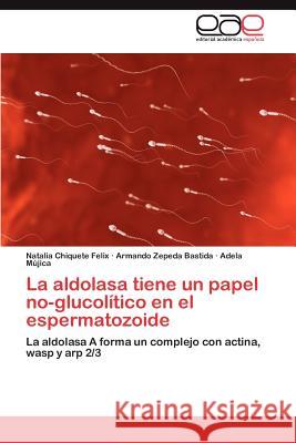 La Aldolasa Tiene Un Papel No-Glucolitico En El Espermatozoide Natalia Chiquet Armando Zeped Adela M 9783848451098 Editorial Acad Mica Espa Ola - książka