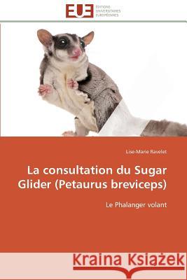 La Consultation Du Sugar Glider (Petaurus Breviceps) Ravelet-L 9783838180885 Editions Universitaires Europeennes - książka