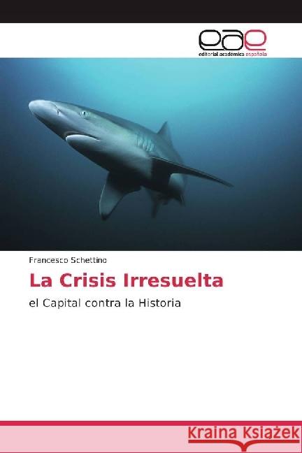 La Crisis Irresuelta : el Capital contra la Historia Schettino, Francesco 9783659094552 Editorial Académica Española - książka