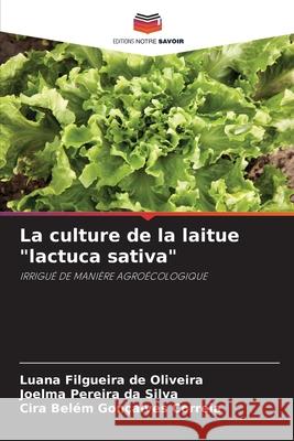 La culture de la laitue 