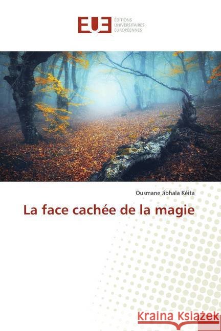 La face cachée de la magie Kéita, Ousmane Jibhala 9786138457411 Éditions universitaires européennes - książka
