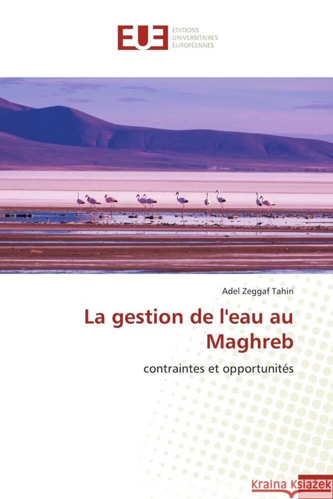 La gestion de l'eau au Maghreb Zeggaf Tahiri, Adel 9786202260961 Éditions universitaires européennes - książka
