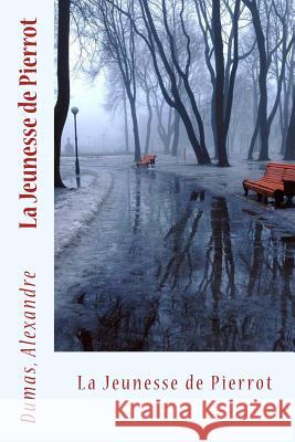 La Jeunesse de Pierrot Dumas Alexandre Sir Angels 9781548512224 Createspace Independent Publishing Platform - książka
