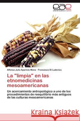 La Limpia En Las Etnomedicinas Mesoamericanas Alfonso Julio Aparici Francesco D 9783848475148 Editorial Acad Mica Espa Ola - książka