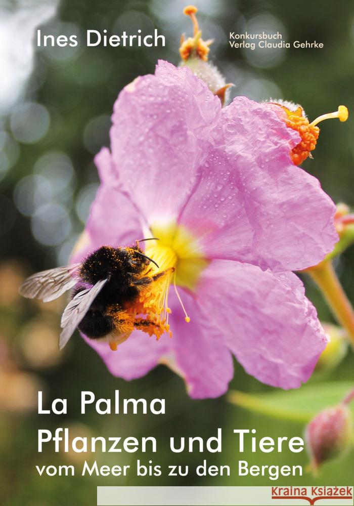 La Palma. Pflanzen und Tiere vom Meer bis zu den Bergen Ines, Dietrich 9783887690069 Konkursbuch - książka