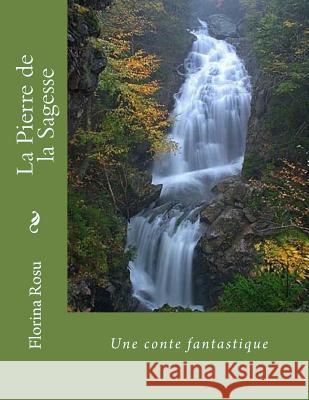 La Pierre de la Sagesse: Une conte fantastique Rosu, Florina 9781533693983 Createspace Independent Publishing Platform - książka