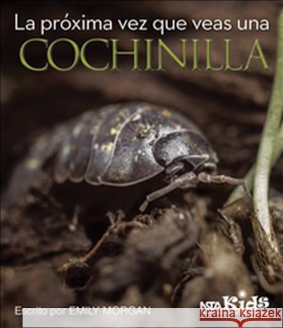 La Próxima Vez Que Veas Una Cochinilla Morgan, Emily 9781681402895 National Science Teachers Association - książka