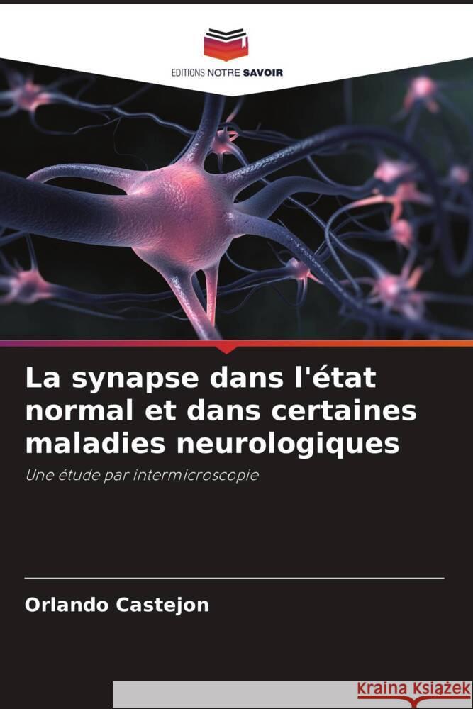 La synapse dans l'?tat normal et dans certaines maladies neurologiques Orlando Castejon 9786206880820 Editions Notre Savoir - książka