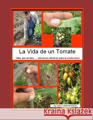 La Vida de Un Tomate: Soluciones Practicas Para Su Manejo En Campo !!! Walter Carlos de Kri Castaneda Vasquez   9798378212576 Independently Published - książka