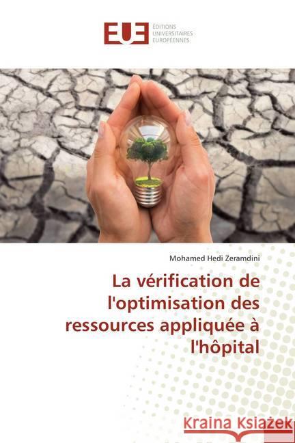 La vérification de l'optimisation des ressources appliquée à l'hôpital Zeramdini, Mohamed Hedi 9786138420125 Éditions universitaires européennes - książka