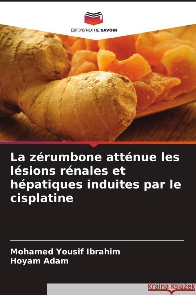 La zérumbone atténue les lésions rénales et hépatiques induites par le cisplatine Ibrahim, Mohamed Yousif, Adam, Hoyam 9786208279837 Editions Notre Savoir - książka