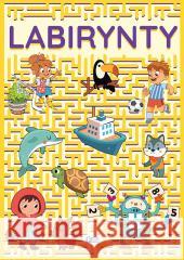 Labirynty praca zbiorowa 9788379326174 Fenix - książka