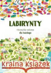 Labirynty. Niezwykła zabawa dla każdego Maja Kanarkowska 9788382601503 LITERAT - książka