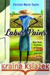 Labor Pains: New Deal Fictions of Race, Work, and Sex in the South Christin Marie Taylor 9781496824073 University Press of Mississippi