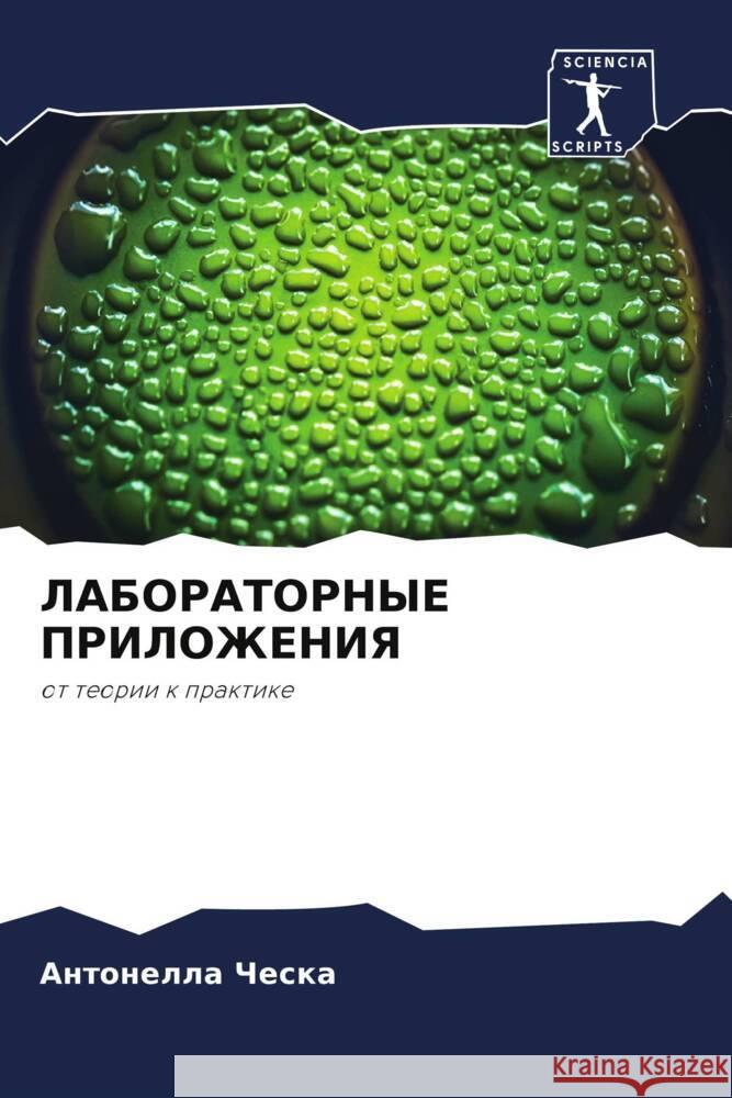 LABORATORNYE PRILOZhENIYa ChESKA, Antonella 9786204611587 Sciencia Scripts - książka