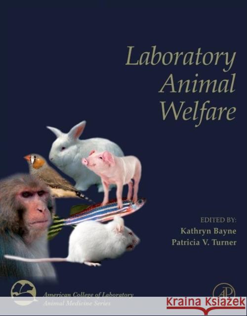 Laboratory Animal Welfare Kathryn Bayne 9780123851031  - książka