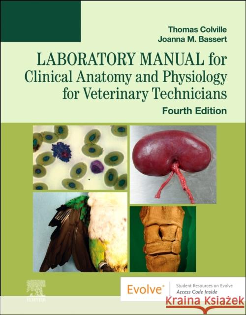 Laboratory Manual for Clinical Anatomy and Physiology for Veterinary Technicians Joanna M. (Professor Emeritus Program of Veterinary Technology Manor College Jenkintown, PA) Bassert 9780323793421 Elsevier - Health Sciences Division - książka