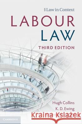 Labour Law Aileen (University of Leeds) McColgan 9781009612128 Cambridge University Press - książka