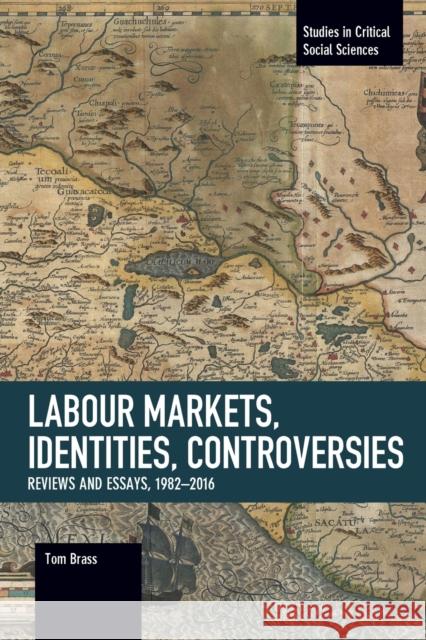 Labour Markets, Identities, Controversies: Reviews and Essays, 1982-2016  9781608469284 Studies in Critical Social Science - książka