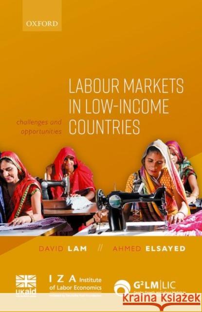 Labour Markets in Low-Income Countries: Challenges and Opportunities David Lam Ahmed Elsayed 9780192897107 Oxford University Press, USA - książka