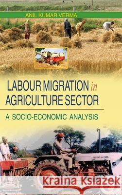 Labour Migration in Agriculture Sector Verma, Anil Kumar 9788183567930 Discovery Publishing  Pvt.Ltd - książka