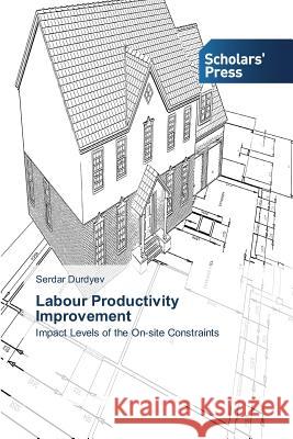 Labour Productivity Improvement Durdyev Serdar 9783639669275 Scholars' Press - książka