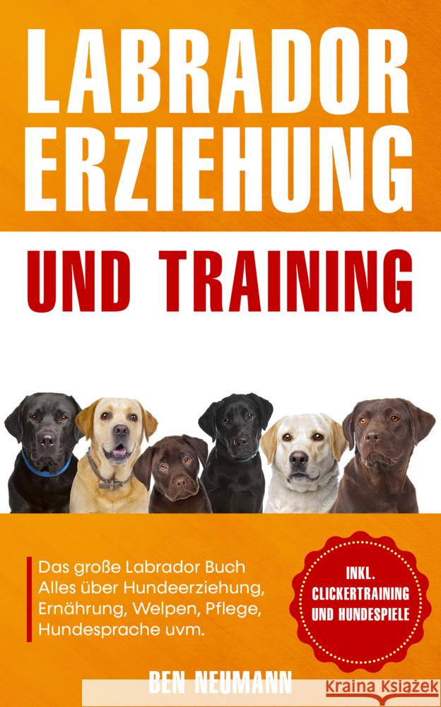 Labrador Erziehung und Training: Das große Labrador Buch Neumann, Ben 9783969670743 Eulogia - książka