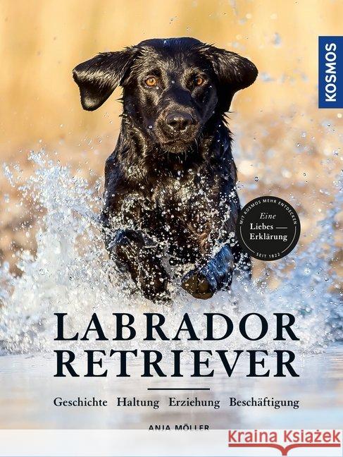 Labrador Retriever Möller, Anja 9783440159989 Kosmos (Franckh-Kosmos) - książka