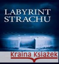 Labyrint strachu Hana Přádová 9788090611740 Labyrinty života s.r.o. - książka