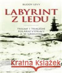 Labyrint z ledu Buddy Levy 9788072604593 Prostor - książka