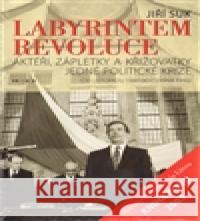 Labyrintem revoluce Jiří Suk 9788072602193 Prostor - książka