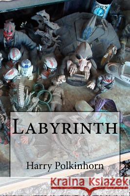 Labyrinth Harry Polkinhorn 9781543148305 Createspace Independent Publishing Platform - książka